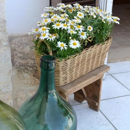 度假居 Trulli Di Puglia - I Limoni 莫诺波利